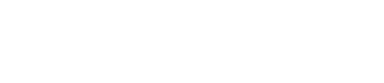 Simule+