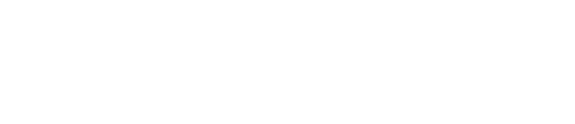 Simule+